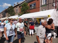 38e Vis & Folklorefestival 27 - 28 juni 2015